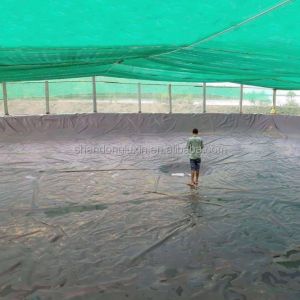 Black Anti Puncture Acid and Alkali Resistant Geomembrane for Fish Ponds