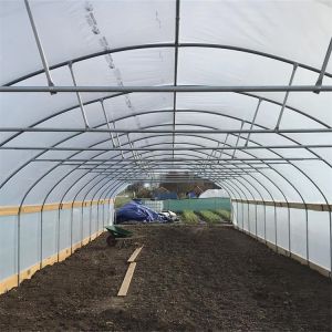 Buy cheap Single Span Plastic Tunnel Greenhouse Strawberry Hydroponic Growing System from wholesalers