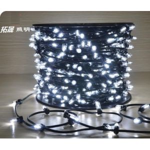 Buy cheap Christmas Tree Manufacturer IP65 LED String Lights 12V LED Clip Light for Australia from wholesalers