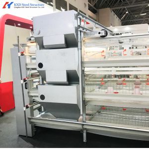 A Type Layer Rearing Broiler Chicken Cage System Fully Automated