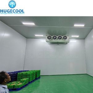 Buy cheap 200 Kw Cooling Capacity Walk-in Freezer Fridge with PU Sandwich Panel Insulation Material from wholesalers