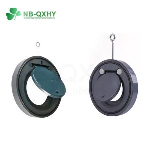 Buy cheap Pn10 Plastic/PVC Wafer Swing Water Drain Pipe Flap Check Valve for Building Materials from wholesalers