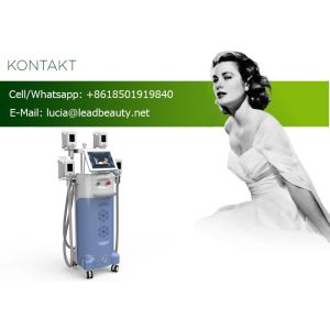 4 cryo handles vacuum freezing fat cryolipolysis machine/cryotherapy machine