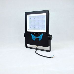 Buy cheap Aluminum Waterproof 6000K 80W IP67 LED Flood Light from wholesalers