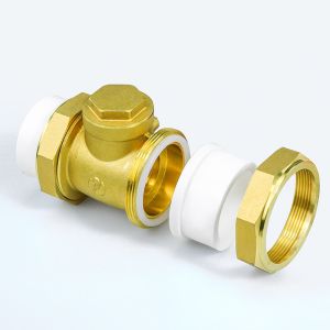 Buy cheap 1/2in Female Thread Brass Horizontal Check Valve DN15 One Way Non Return Check Valve from wholesalers