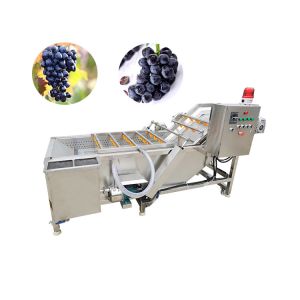 Buy cheap Vegetable And Fruit Ginger Slicer And Washing Machine Foshan from wholesalers