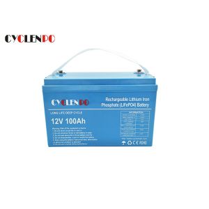 12v 100ah Lithium RV Battery , Lithium Deep Cycle RV Battery BMS Overall