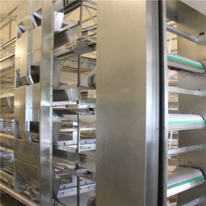 Buy cheap Mechanical Livestock Farming Equipment , Manure Removal Battery Cage System from wholesalers