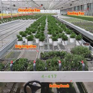 Economical Custom Design Automatic Shading System Multi-span Strawberry