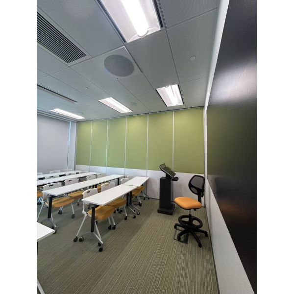 Modern Style Decorative Partition Wall with Customized Design and Aluminum Alloy