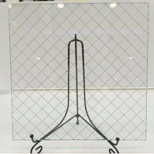 Clear Chicken Fire Proof Wire Mesh Glass With Customized Size From Building