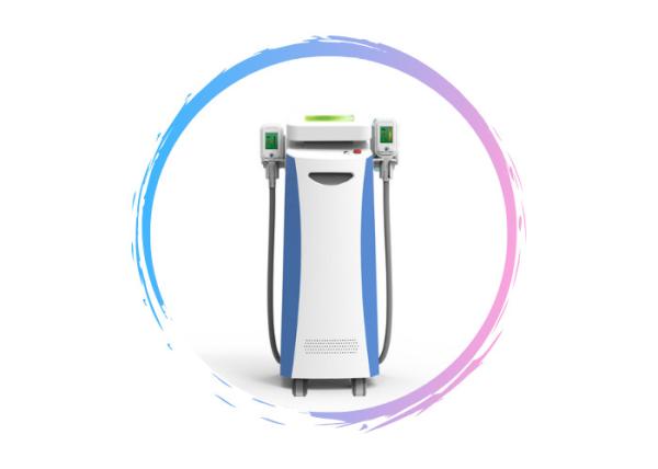 Quality 2019 New Designed Fat Reduction Cryolipolysis Slimming Machine cryolipolysis equipment for sale