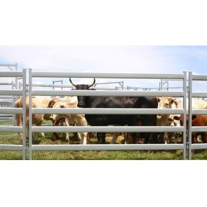 Buy cheap 15pcs Bundle Heavy Duty Portable Cattle Panels For Sale & Gate from wholesalers