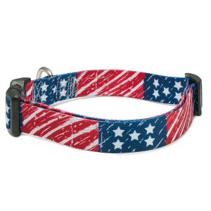 Buy cheap Durable Soft Nylon Dog Collar Quick Release Plastic Buckle Heavy Duty Zinc Alloy D Ring from wholesalers