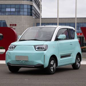 China High-speed electric vehicle 4 seat new energy vehicle adult electric car with EEC COC on sale