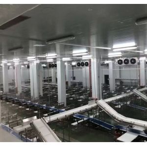 Chicken Duck Goose Poultry Slaughtering Line High Efficiency Stainless Steel 304