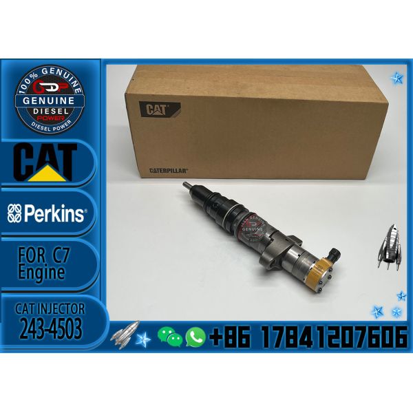 Diesel Engine Parts Common Rail Fuel Injector 243-4503 for CAT C7 Diesel Engine CNDIP Factory price