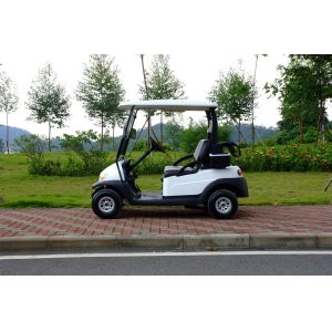 Buy cheap Electronic Small 2 Seater Golf Cart With Caddy Plate CE Approved , Green Color from wholesalers
