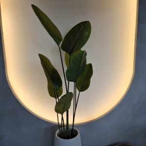 Plastic Customized Large High Artificial Plants 120CM In Various Sizes Easy To