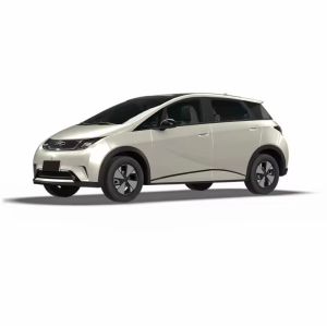 BYD Dolphin Champion Edition 520km Range Electric Car Left Steering 100% Energy