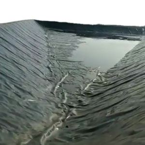 Waterproofing Plastic Fish Pond Liner HDPE Geomembrane with Double Smooth