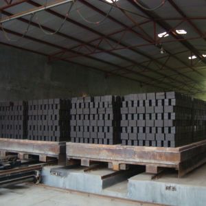 Masonry Tunnel Kiln Automatic Brick Plant ISO Automatic Brick Manufacturing