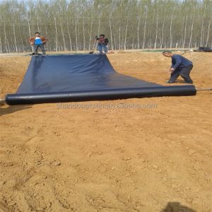 Thickness 0.2mm-2.8mm HDPE Geomembrane for Fish Pond Liner and Dam Liner in