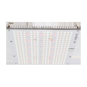 High PPFD IP65 5000lm Quantum Grow Lights