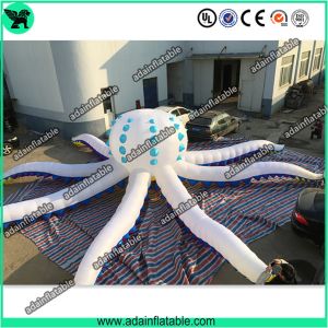 Buy cheap Inflatable Octopus,Giant Inflatable Octopus,White Octopus Inflatable,Event Octopus from wholesalers