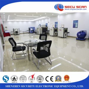 Multi - Energy X Ray Security Scanner