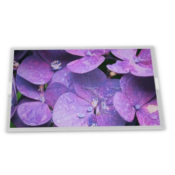 Quality 10.4 Inch 2000*1200 A-Si TFT-LCD TV104C9T-LH0 High-quality  Lcd Panel Display in Stock for sale