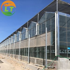 Buy cheap Quick Construction Vegetables Growing Greenhouse with Complete Multi Span Design from wholesalers