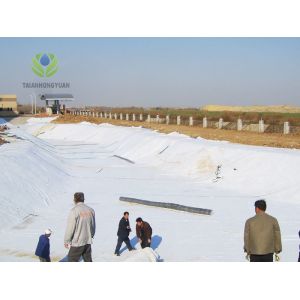 ASTM Standard Bentonite Geosynthetic Clay Liner for Landfill and Basement Aging