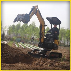 Buy cheap Water Cooling Mini Crawler Excavator 20kw 2T With Three Cylinder from wholesalers
