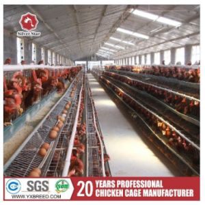 Buy cheap Hot Galvanizing Layer Chicken Cage Layer Poultry Equipment from wholesalers