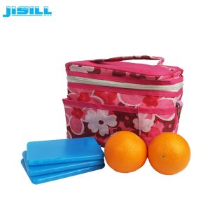 15 * 10 * 1cm Small Reusable Gel Ice Packs With A Hard Plastic Shell Inside