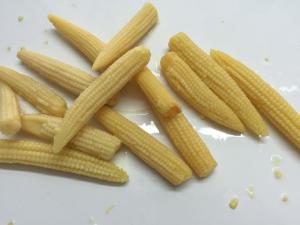 China Whole Canned Young Corn , Baby Corn In Brine Tender And Flavorful Tasty on sale