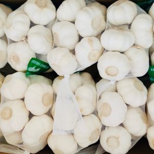 Buy cheap 4.5cm Pure White Natural Fresh Onion No Black Mould from wholesalers