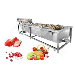 Automatic Fruit And Vegetable Washer Fruit And Vegetable Washing Processing