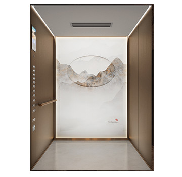 Large Loading Passenger Elevator Traction Machine Driven Office Building