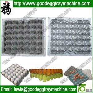 Buy cheap 6*6 plastic egg tray mould from wholesalers