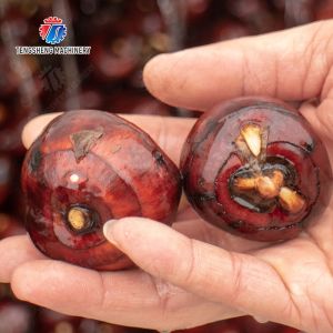 Buy cheap Ginger Potato Carrot Taro Sweet potato Yam Saiko persimmon papaya horseshoe Sealed Cover Type Peeling Machine Wash Washer Washing Cleaning from wholesalers