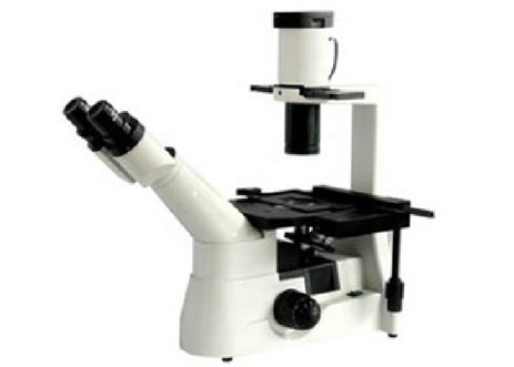 Buy cheap RMS Threaded Inverted Optical Microscope Light WF10X/22mm Living Cell from wholesalers