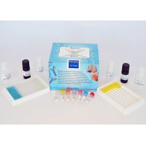 Buy cheap High Reproducibility Drug Residue Test Kit Chloramphenicol (CAP) ELISA Test Kit from wholesalers