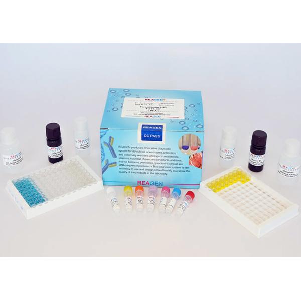 Quality High Reproducibility Drug Residue Test Kit Chloramphenicol (CAP) ELISA Test Kit for sale
