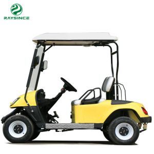 China 60V battery operated mini golf trolley 2 seats customized color factroy supply electric golf carts with 3000W motor on sale