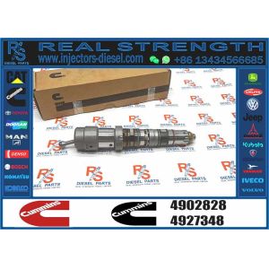 Buy cheap High Quality New Common Fuel Injector 4902828 for Engine QSK23 Engine INJECT PUMP from wholesalers