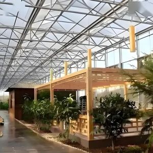 Galvanized Steel structure With Hydroponic Growing Systems Automated Intelligent
