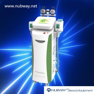 Buy cheap Wholesale price good quality multifunctional cryolipolysis fat freeze slimming machine from wholesalers