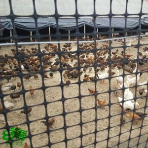 Buy cheap Plastic Mesh Grid Polypropylene Biaxial Geogrid for Road Soil Stabilizer Width 1-6m Length 50-100m from wholesalers